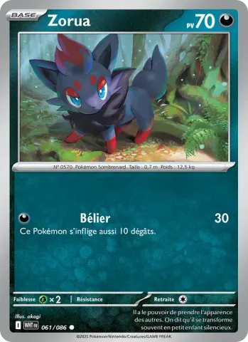 Zorua · 061