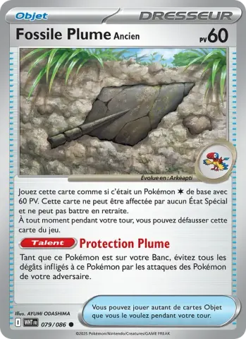 Fossile Plume Ancien · 079