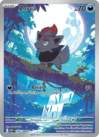 Zorua · 142