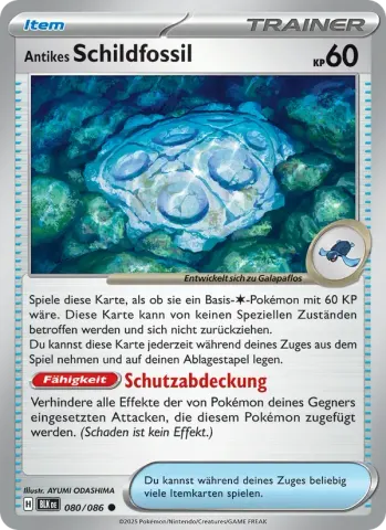 Antikes Schildfossil · 080