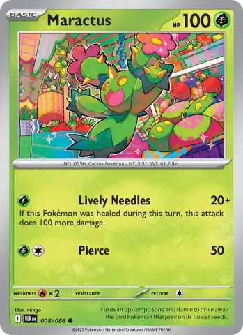 Maractus · 008