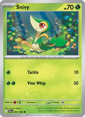 Snivy · 001