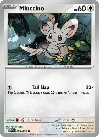 Minccino · 075