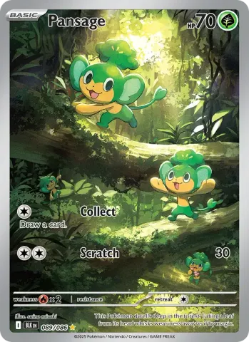 Pansage · 089