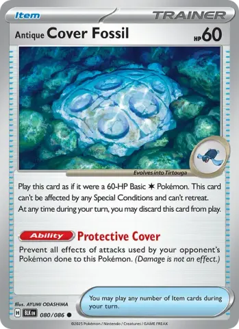 Antique Cover Fossil · 080