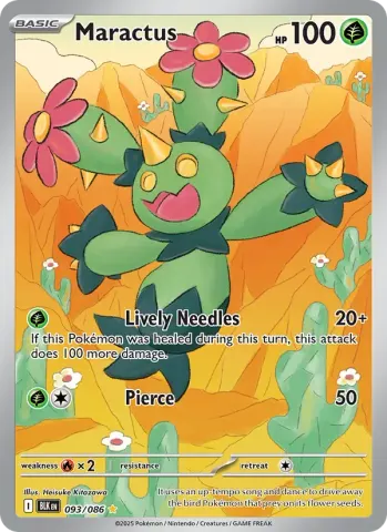 Maractus · 093