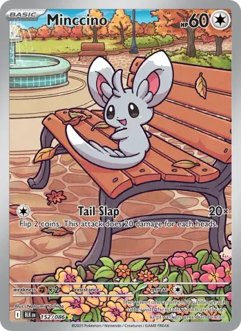 Minccino · 152