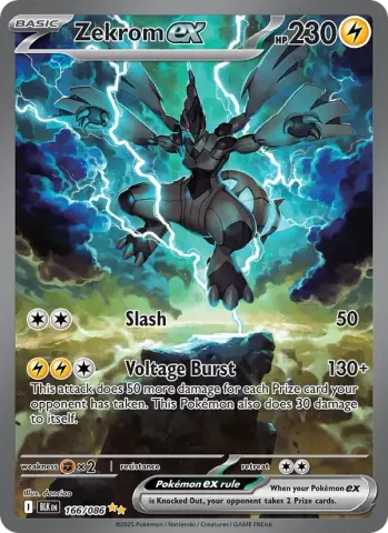 Zekrom ex · 166