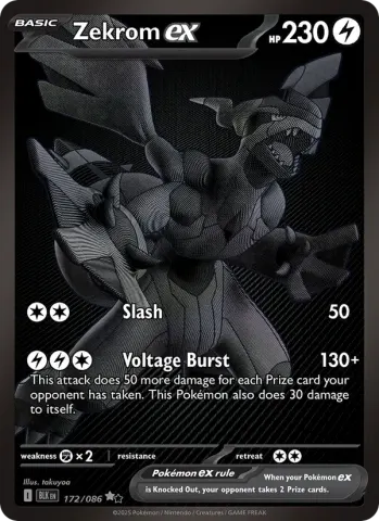 Zekrom ex · 172