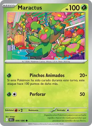 Maractus · 008