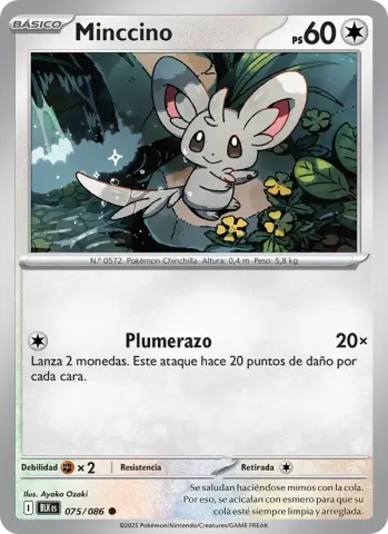 Minccino · 075