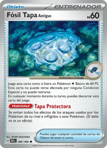 Fósil Tapa Antiguo · 080