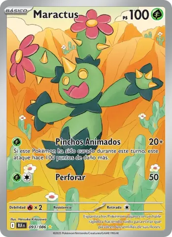 Maractus · 093