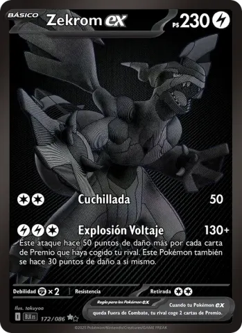Zekrom ex · 172