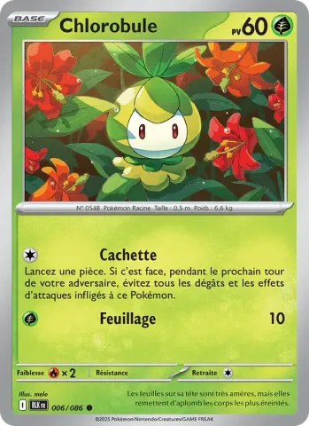 Chlorobule · 006