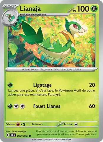 Lianaja · 002