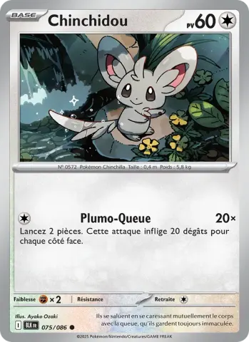 Chinchidou · 075