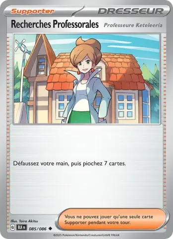 Recherches Professorales · 085