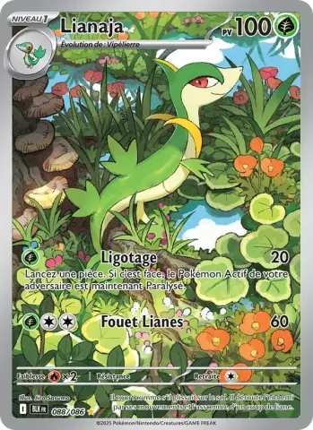 Lianaja · 088