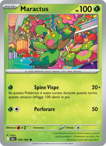 Maractus · 008