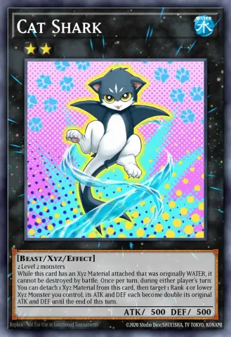 Cat Shark · EN066