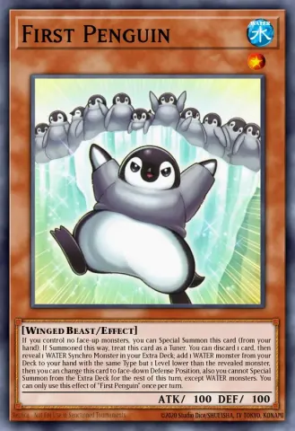 First Penguin · EN030