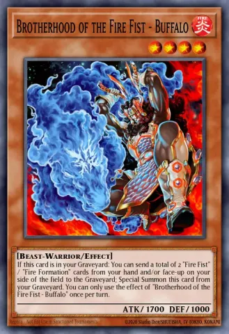 Brotherhood of the Fire Fist - Buffalo · EN071