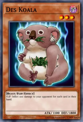 Des Koala · EN062