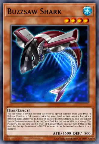Buzzsaw Shark · EN007