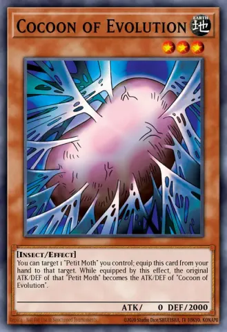Cocoon of Evolution · 011