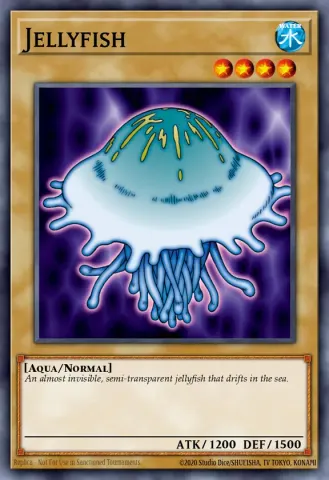 Jellyfish · 072