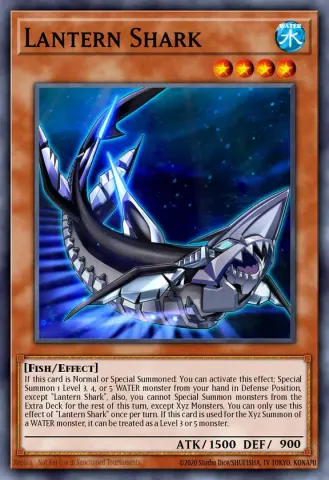 Lantern Shark · EN006