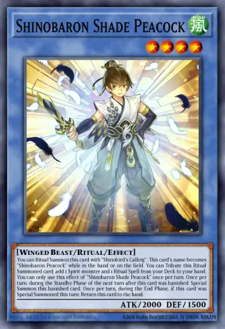 Shinobaron Shade Peacock · EN029