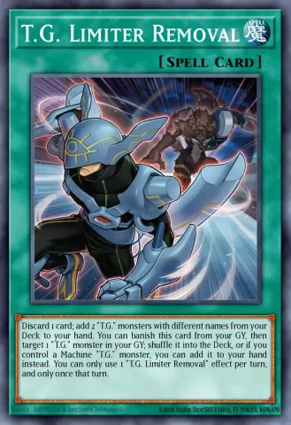 T.G. Limiter Removal · EN049