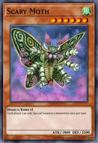 Scary Moth · EN023