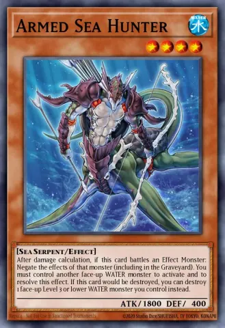 Armed Sea Hunter · EN025