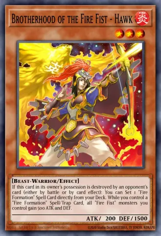 Brotherhood of the Fire Fist - Hawk · EN021