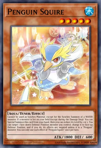 Penguin Squire · EN024