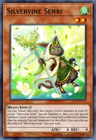 Silvervine Senri · EN031