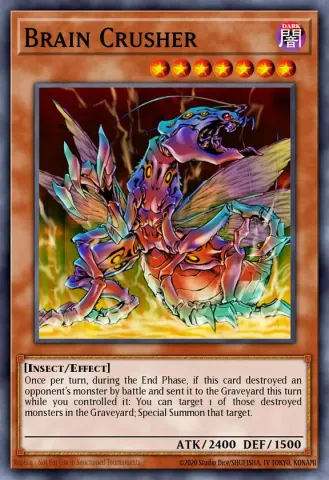 Brain Crusher · EN047