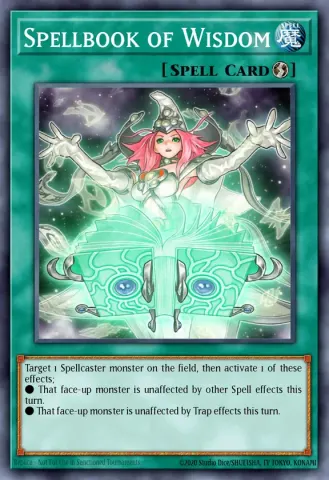 Spellbook of Wisdom · EN060