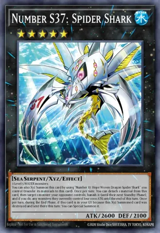 Number S37: Spider Shark · EN037