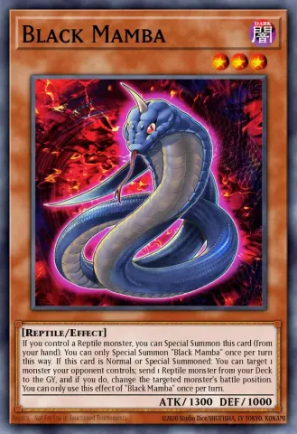Black Mamba · EN019