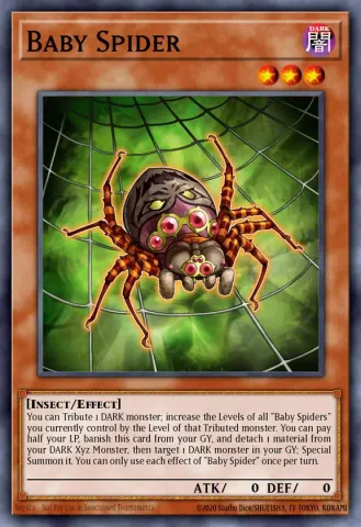 Baby Spider · EN045