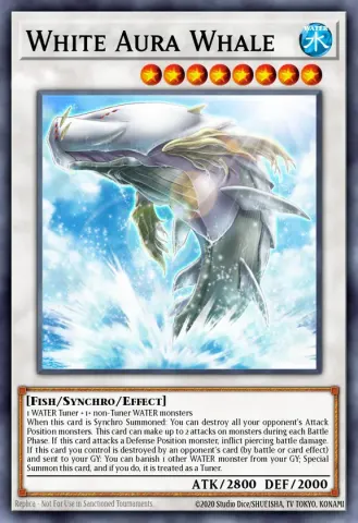 White Aura Whale · EN011