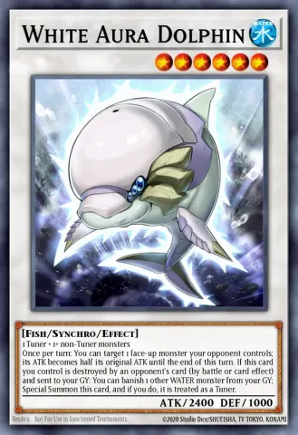 White Aura Dolphin · EN052