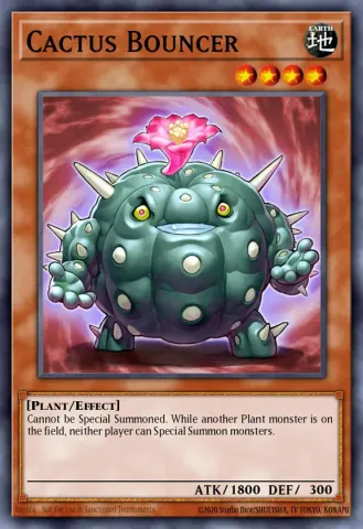 Cactus Bouncer · EN065