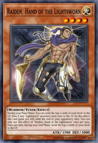 Raiden, Hand of the Lightsworn · EN003