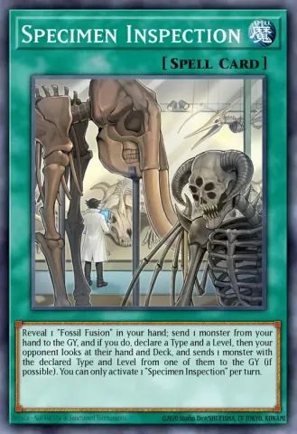 Specimen Inspection · EN136