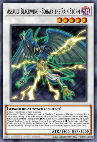 Assault Blackwing - Sohaya the Rain Storm · EN144